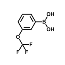 3-(Trifluoromethoxy)phenylboronic acid CAS 179113-90-7